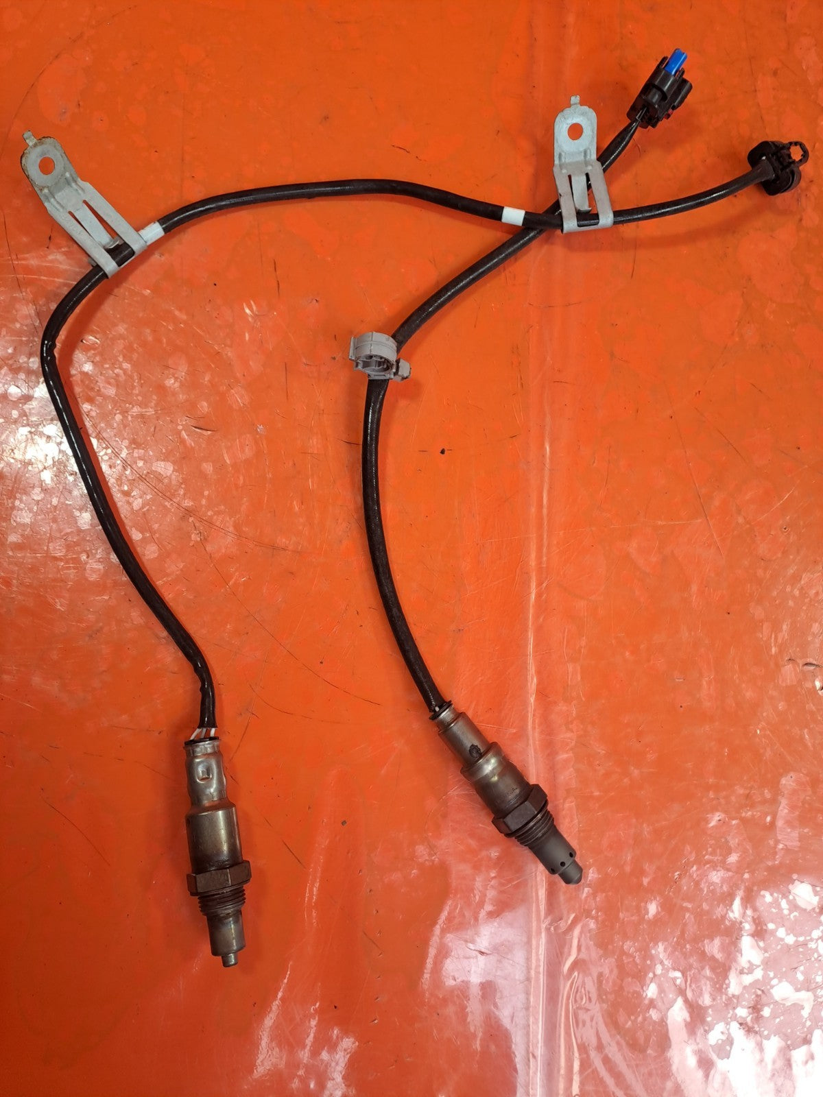 ebay-src:https://i.ebayimg.com/00/s/mtywmfgxmjaw/z/t-aaaeswtj9plhog/$_57.jpg