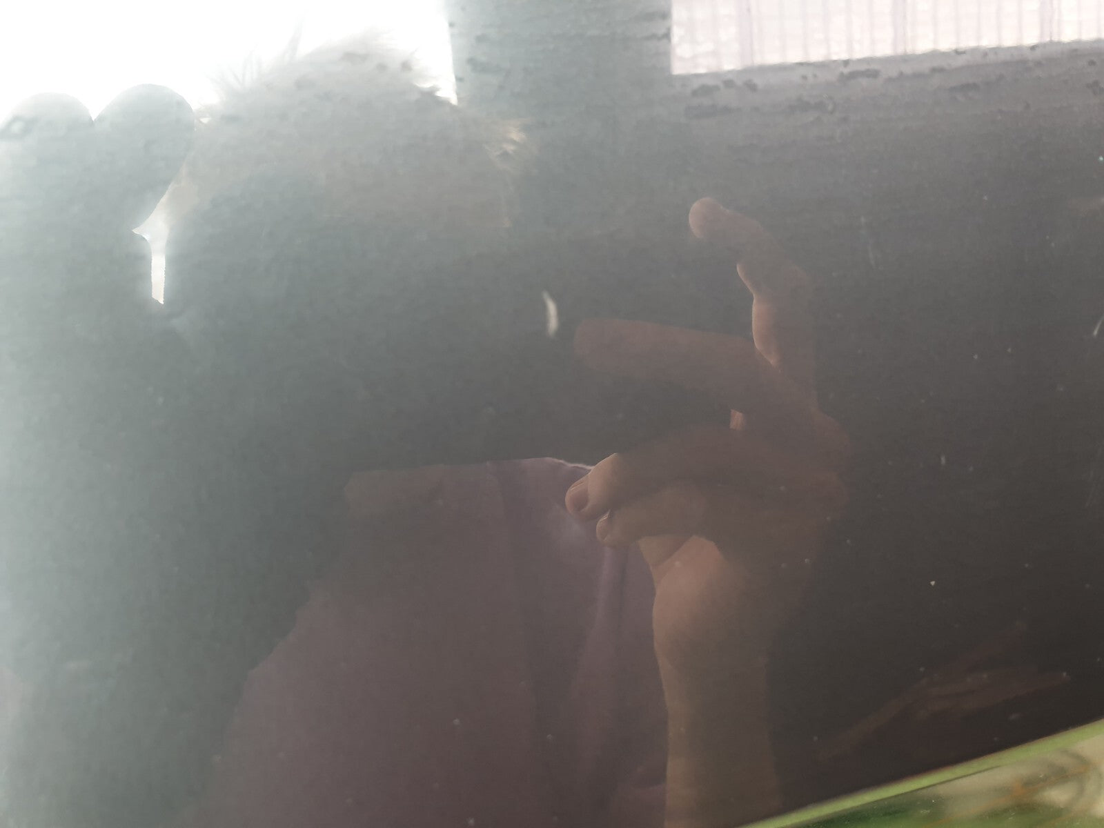 AUDI A1 SPORT 1.0 PETROL 2022 TAILGATE GREY Scratches A205 - Image 5