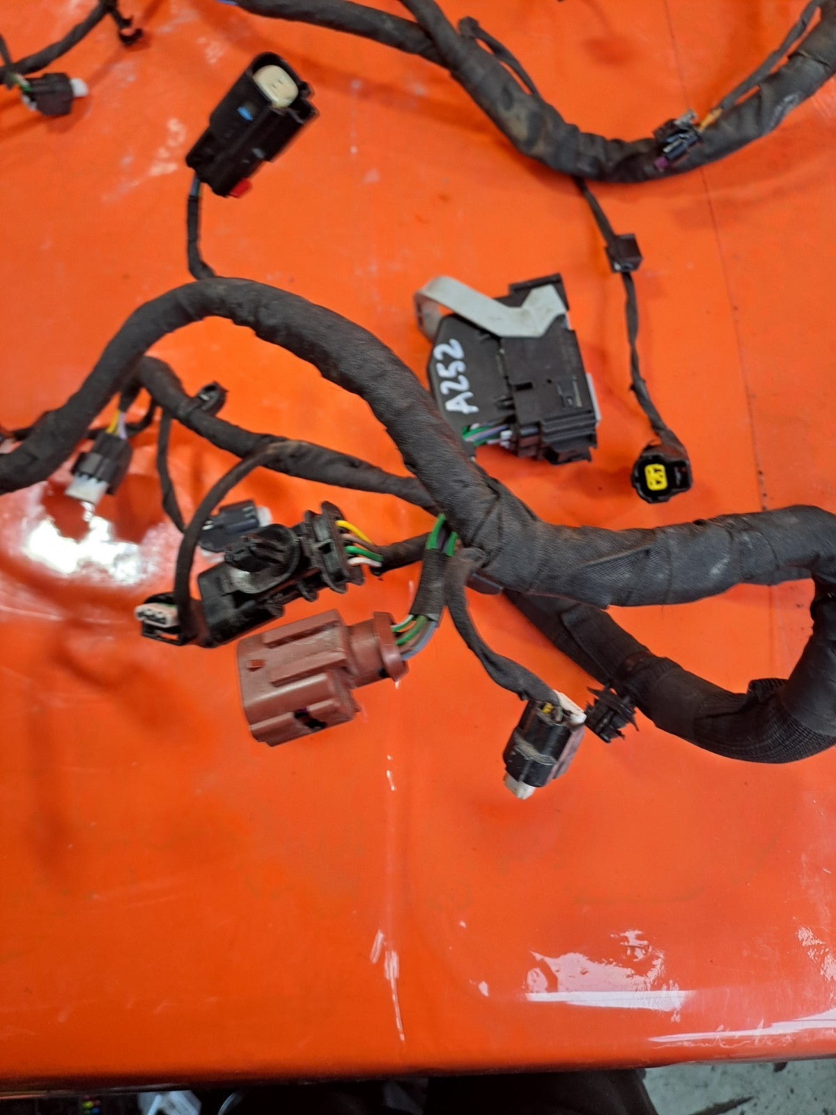 2019-2025 Ford Puma ST-Line Engine Wiring Loom Harness L1BT-12C508BB - Image 4