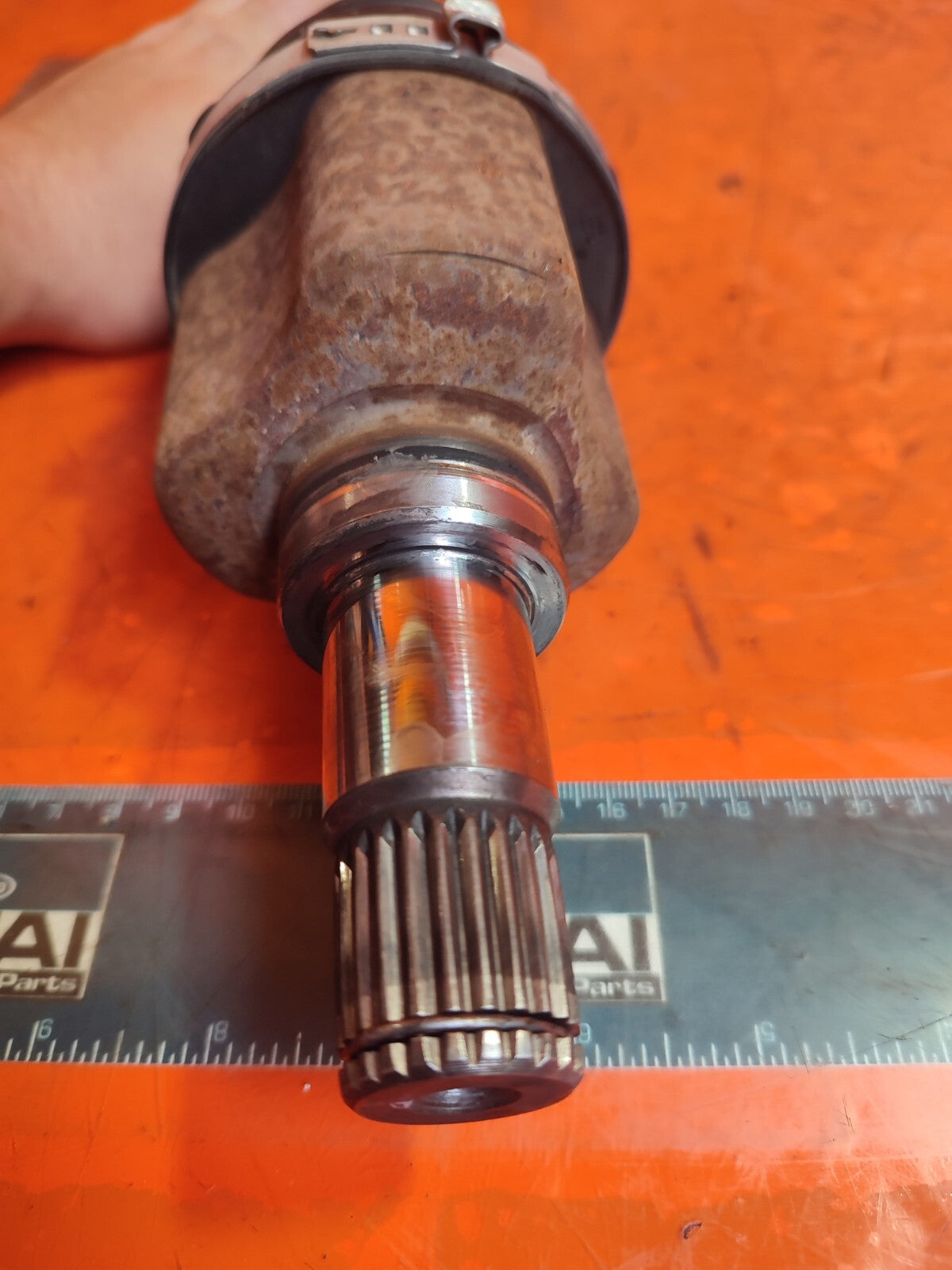 ebay-src:https://i.ebayimg.com/00/s/mtywmfgxmjaw/z/tzmaaoswbhpoqjra/$_57.jpg