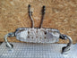✅2010 PORSCHE CAYENNE 9PA 3.6P EXHAUST MUFFLER SILENCER + WARRANTY A268 - Image 1