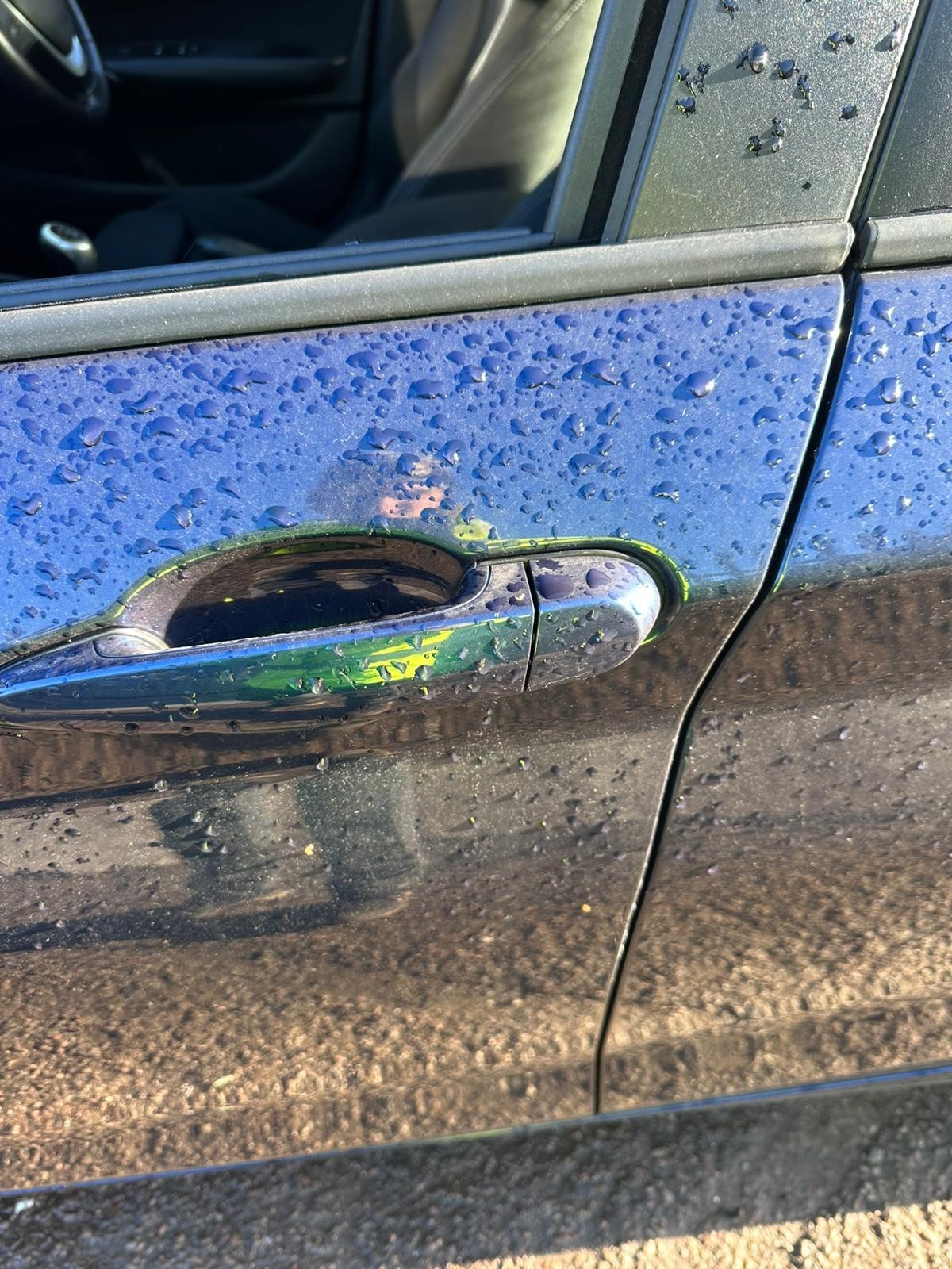 ✅2015 BMW 1 SERIES SPORT F20 FRONT LEFT DOOR W/O MIRROR BLUE (A76) + WARRANTY - Image 6