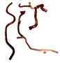 2025 Mercedes GLE W167 AMG Fuel Feed Pipes A6560701532 Warranty A397 - Image 1