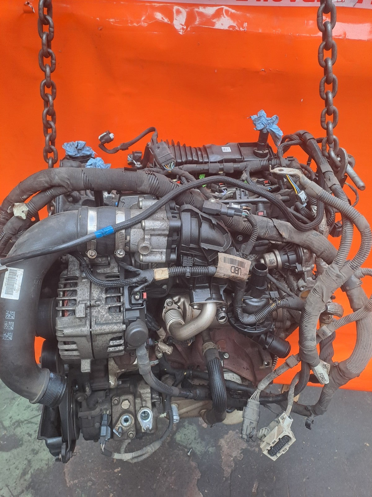 2023 Ford Transit Custom 2.0 EcoBlue Diesel Complete Engine BLFB Warranty A404 - Image 2