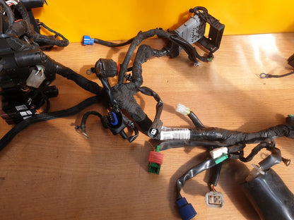 ✅2022 KTM RC125 Petrol Wiring Loom Harness JY402275 + Warranty A148 - Image 4