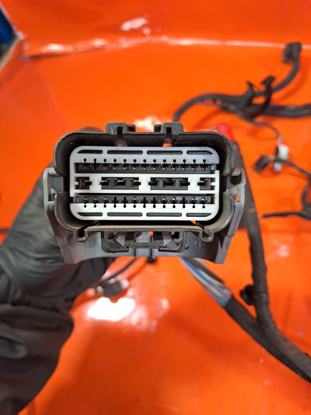 2019-2025 Ford Puma ST-Line Engine Wiring Loom Harness L1BT-12C508BB - Image 8
