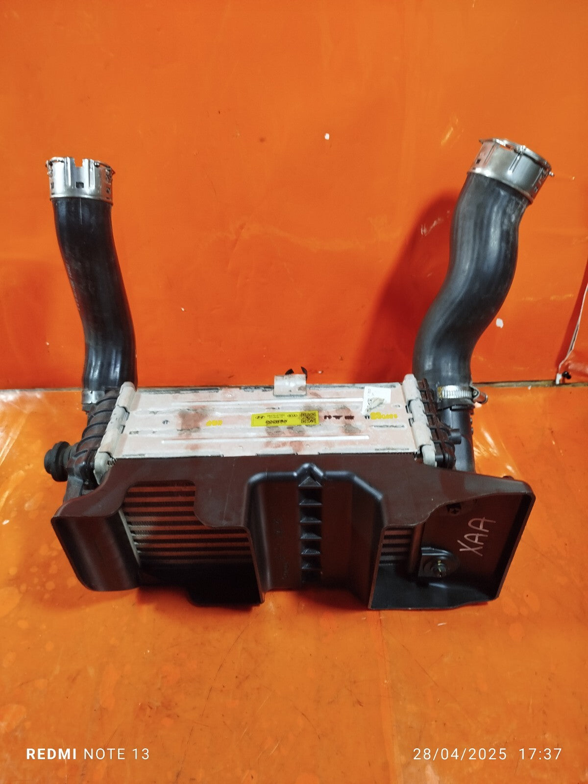 ebay-src:https://i.ebayimg.com/00/s/mtywmfgxmjaw/z/rn0aaoswftdoglet/$_57.jpg