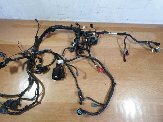 ✅2019 KAWASAKI EX650 NINJA PETROL ENGINE WIRING LOOM 26031-2330 + WARRANTY A186 - Image 1