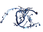 ✅Audi A3 8Y S Line 2021 Engine Wiring Loom Harness 04E972610Q + Warranty A149 - Image 1