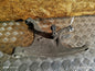 ✅Audi Q5 S Line 2.0 Petrol 2012 Rear Right Lower Control Arm 8R0505312F Warranty - Image 1