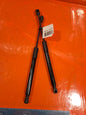 ✅2018-2025 TESLA MODEL 3 FRONT BONNET GAS STRUTS PAIR 1645989-00-A WARRANTY A241 - Image 1